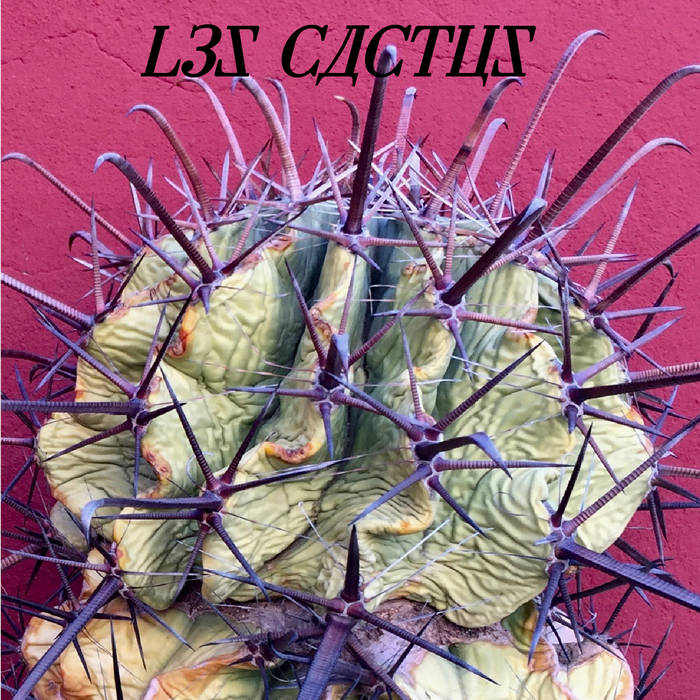 rat tail cactus Golden Rat Tail Cactus | Lexington, KY