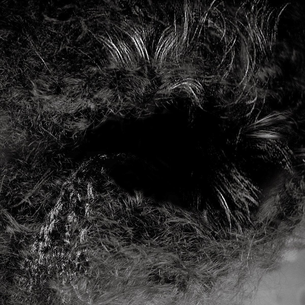 【CF】【EN】亡者の織物/Dead Threads JP】《Rainbow Foil》[死霊術師] 亡者の織物/Dead Threads (装備品)「L