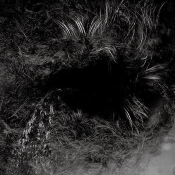 邦楽 bufferins corrupt BUFFERINS 