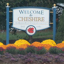 Cheshire i i cover art