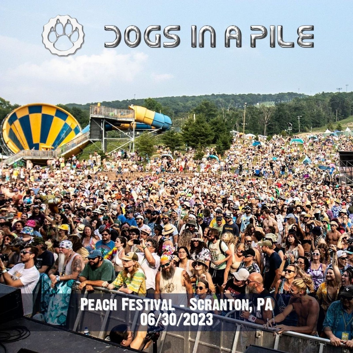 06/30/23 Peach Festival Scranton, PA Dogs In A Pile