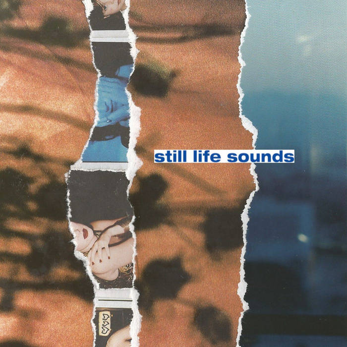 Blends The Light | Still Life Sounds