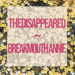 Disappeared split cover