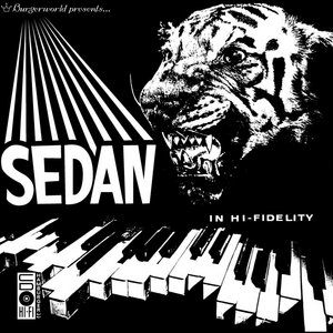 Sedan cover