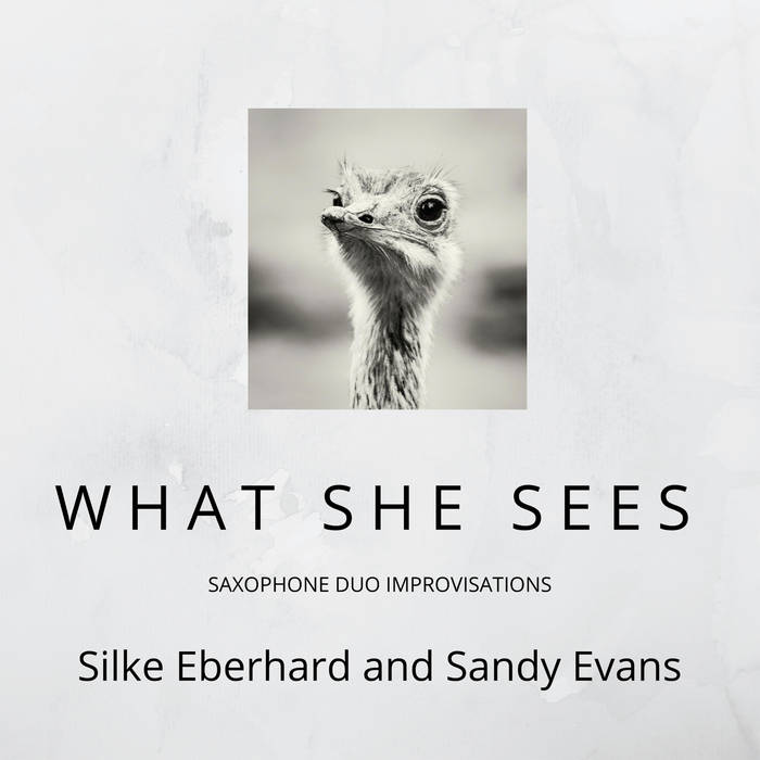 What She Sees
by Sandy Evans & Silke Eberhard