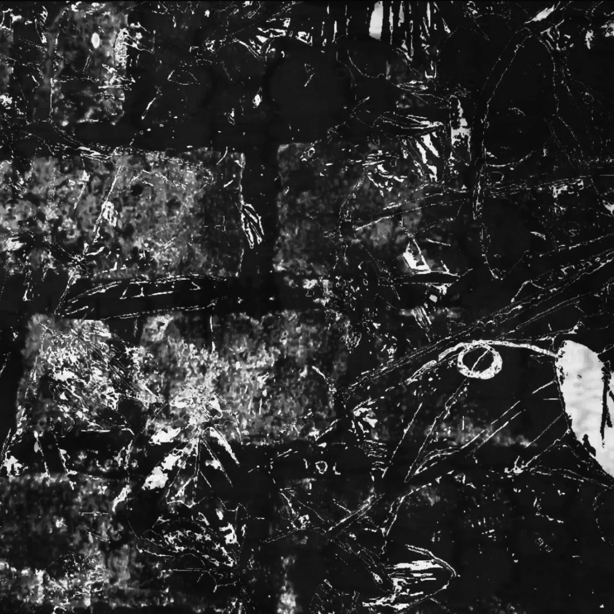 Illusive Unreleases cover