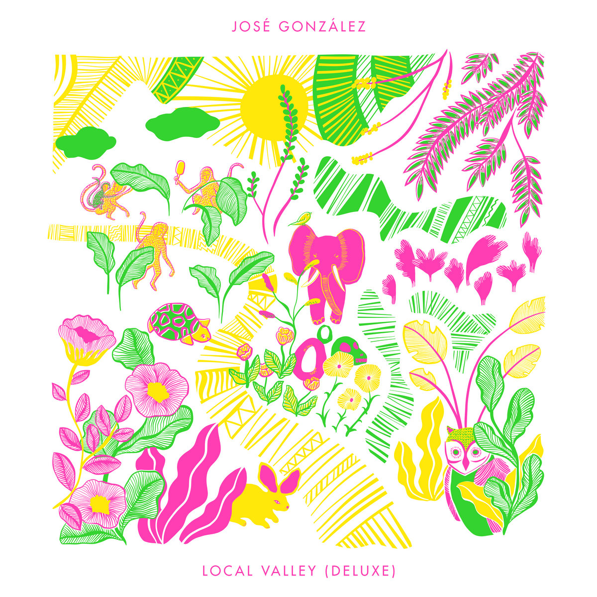 Local Valley (Deluxe) | José González