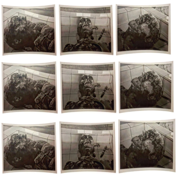 Pigs In The Parlor OIWA Pigs in the parlor oiwa