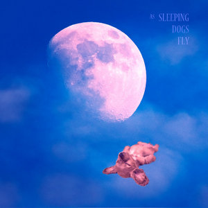 As Sleeping Dogs Fly cover