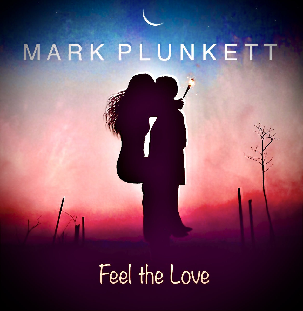 Feel the Love cover