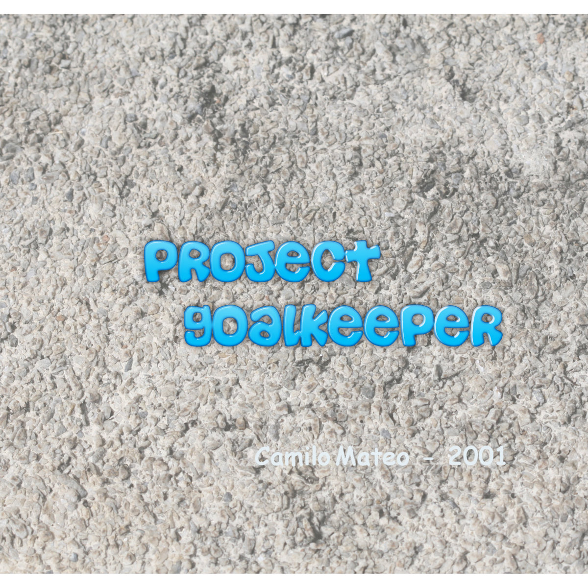 Project Goalkeeper Camilo Mateo