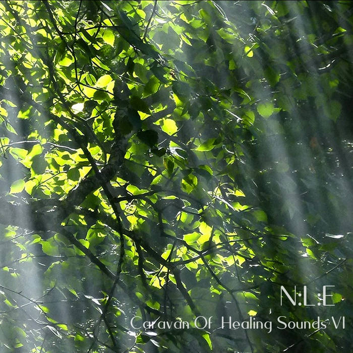 Caravan Of Healing Sounds VI | N:L:E | Natural Life Essence [ Liquid Frog  Records ]