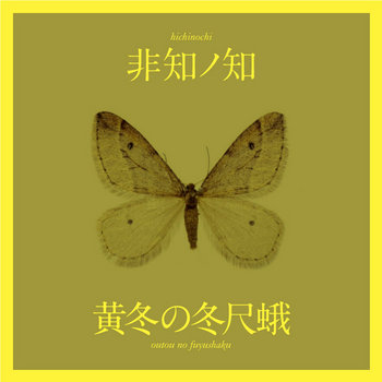 黄冬の冬尺蛾| 非知ノ知hichinochi | 非知ノ知