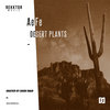 Gossypium (Original Mix)