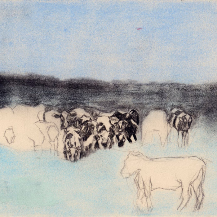 Eyes Closed Steel Wool