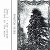 The Corpse Buried in the Snow