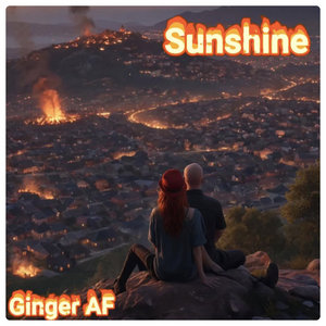 Sunshine cover