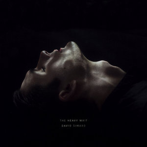The Heavy Wait cover
