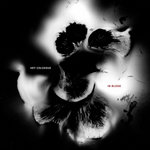 洋楽 Hey Colossus Dedicated To Uri Klanger LP Dedicated To Uri Klangers (2003 - 2013) | Hey Colossus