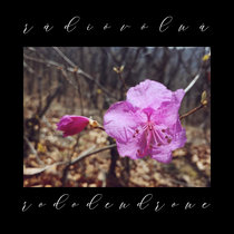rododendrone cover art