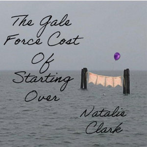 The Gale Force Cost Of Starting Over cover