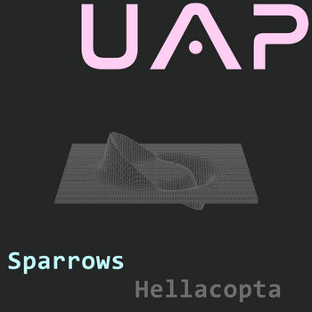 Cover art for Sparrows