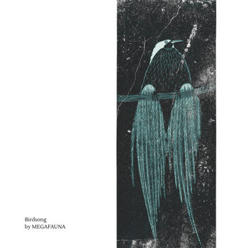 Birdsong cover art
