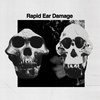 HNRLP031: R.E.D.