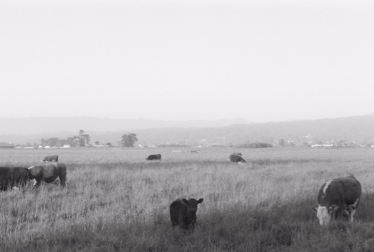 excerpts from film MYSTICS IN BALI