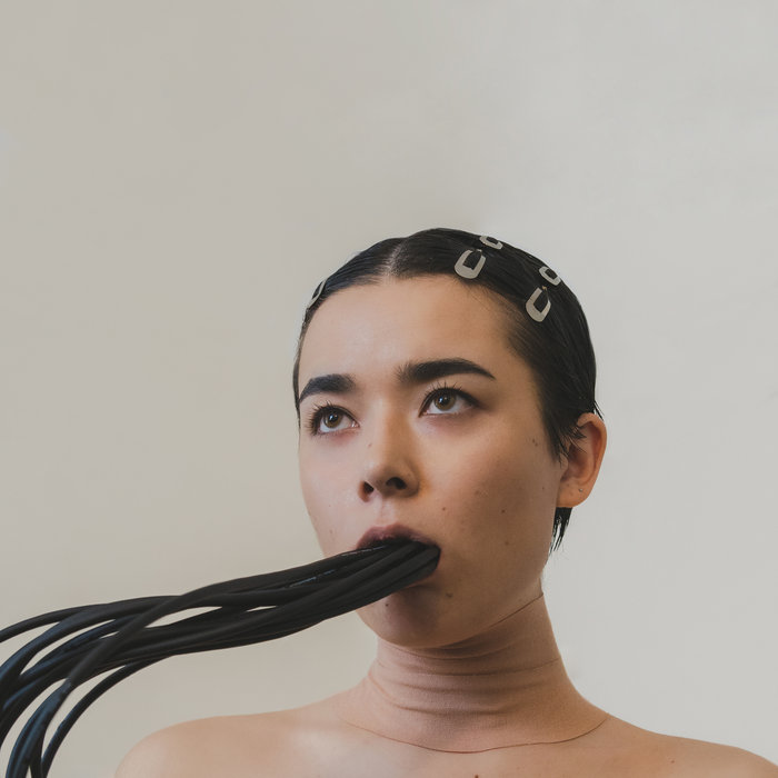 Follow the Cyborg album art by Miss Grit