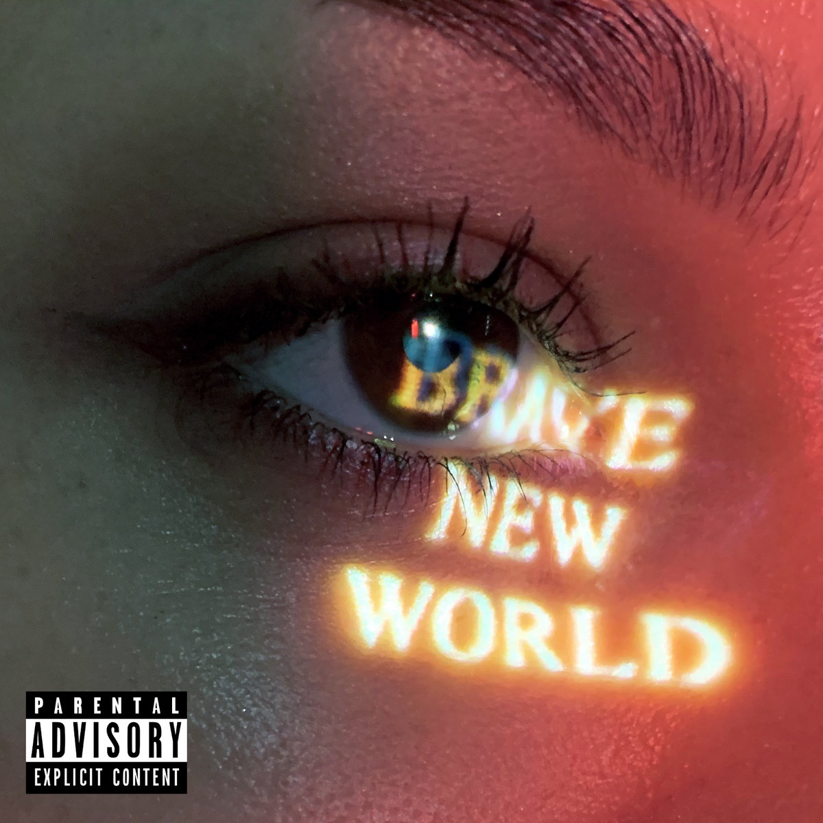 Brave New World by Zheani