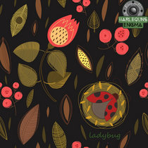 ladybug cover art