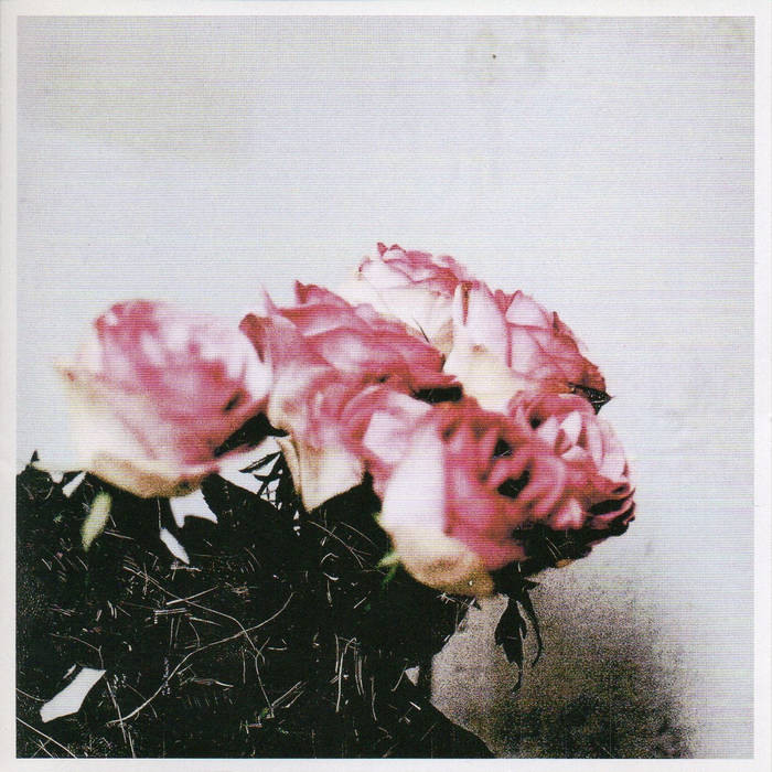 minuano love logic レコード　新品未開封 Love Logic | Minuano | Botanical House