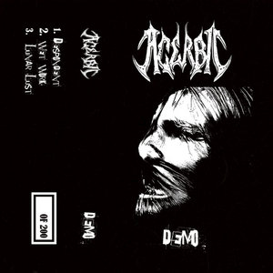 AcerBIC — Demo
