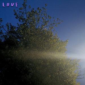 Love cover