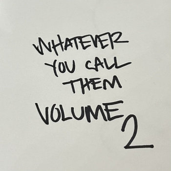 Album artwork for Whatever You Call Them Vol.2