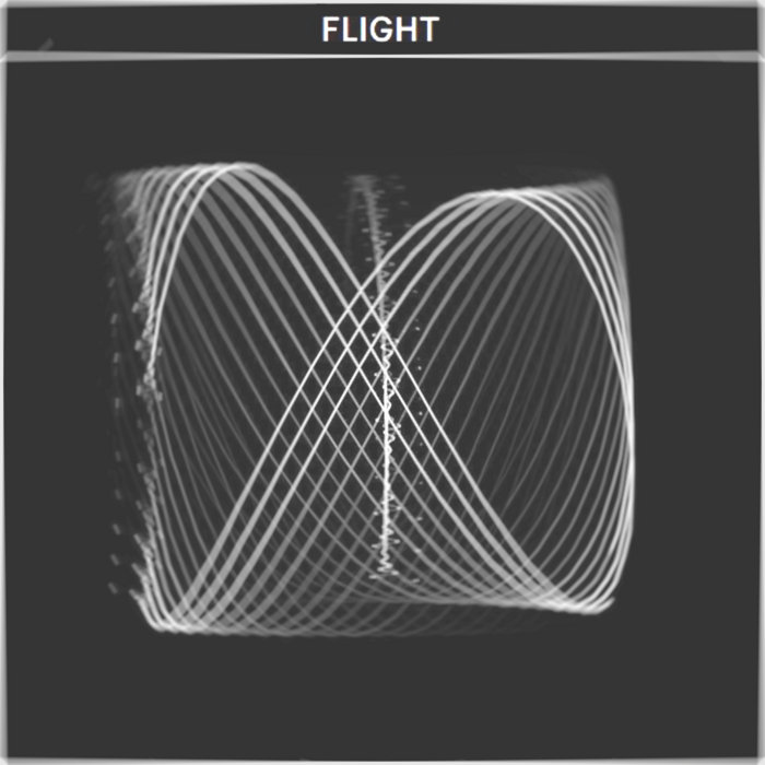 FLIGHT | COPYCATT