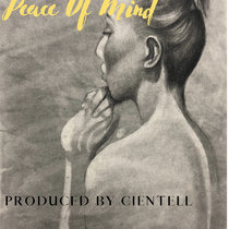Peace Of Mind (Tagged) cover art