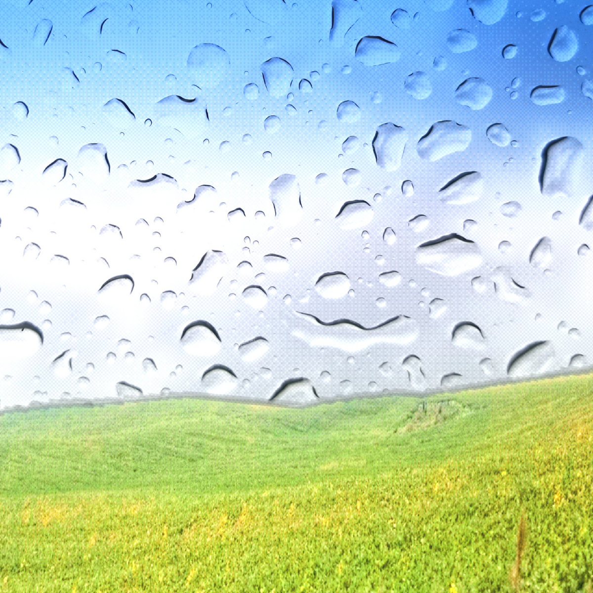 Generate | Mick Rudry | Wave Racers Collective