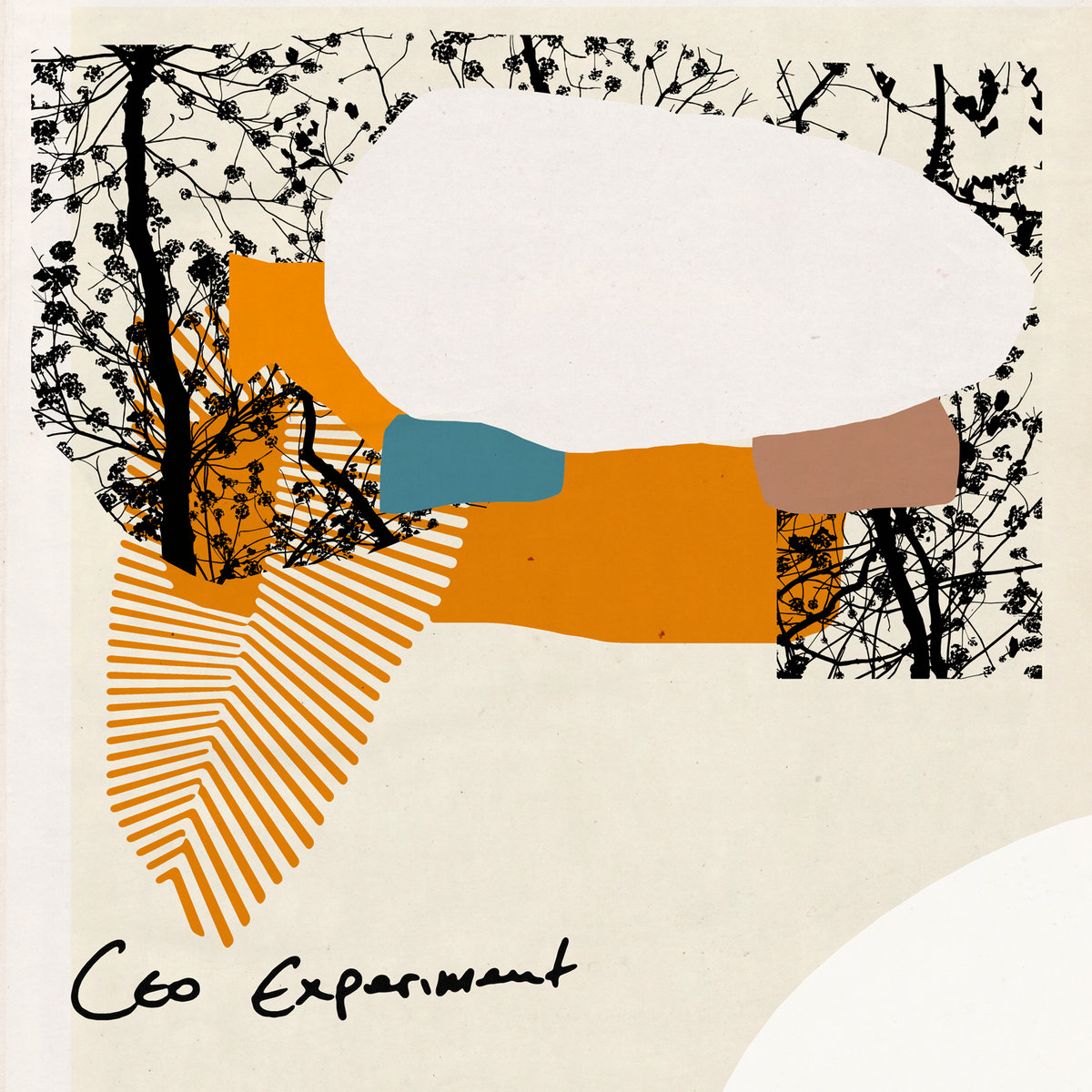 CEO experiment cover