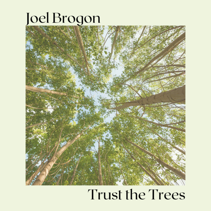 Trust the Trees | Joel Brogon