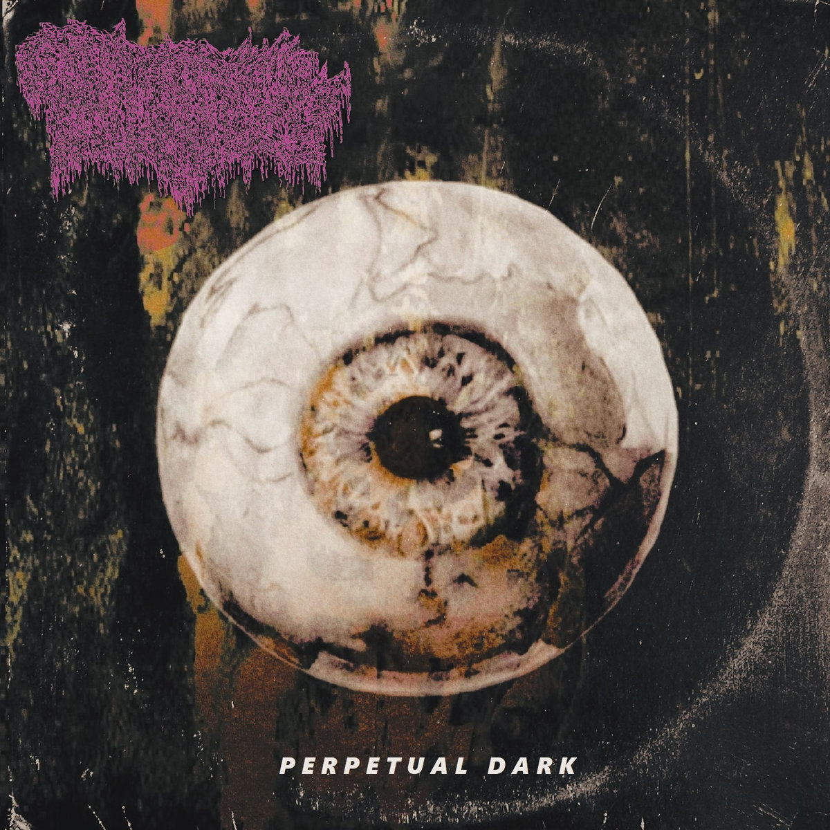 Perpetual Dark | Cryptic Rising