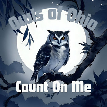 Owls of Ohio