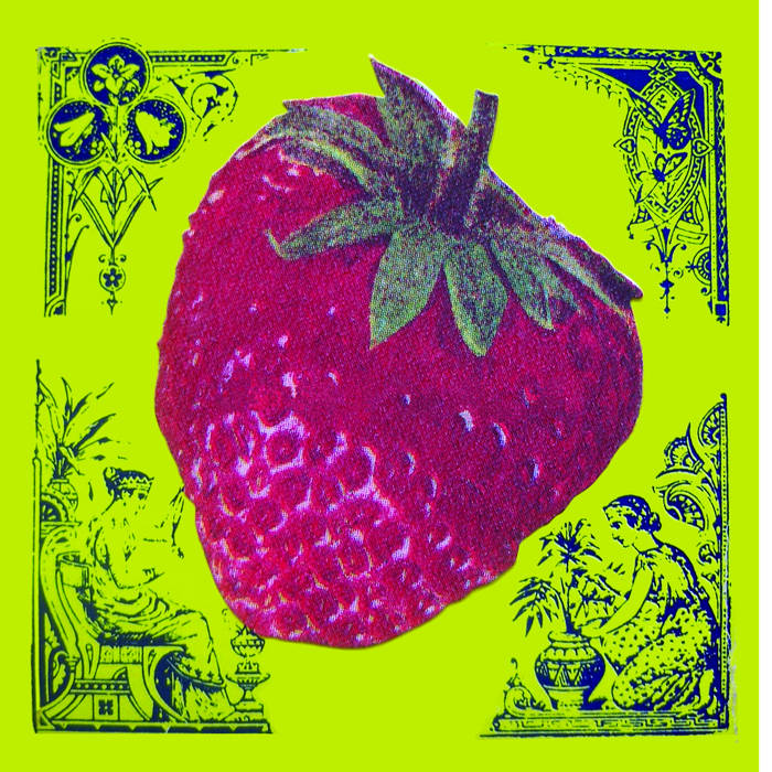 邦楽 STRAWBERRY FIELDS Lips Like Strawberry Strawberry Fields - XL Circles – Montana Beerings