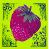 Strawberry Cover Art