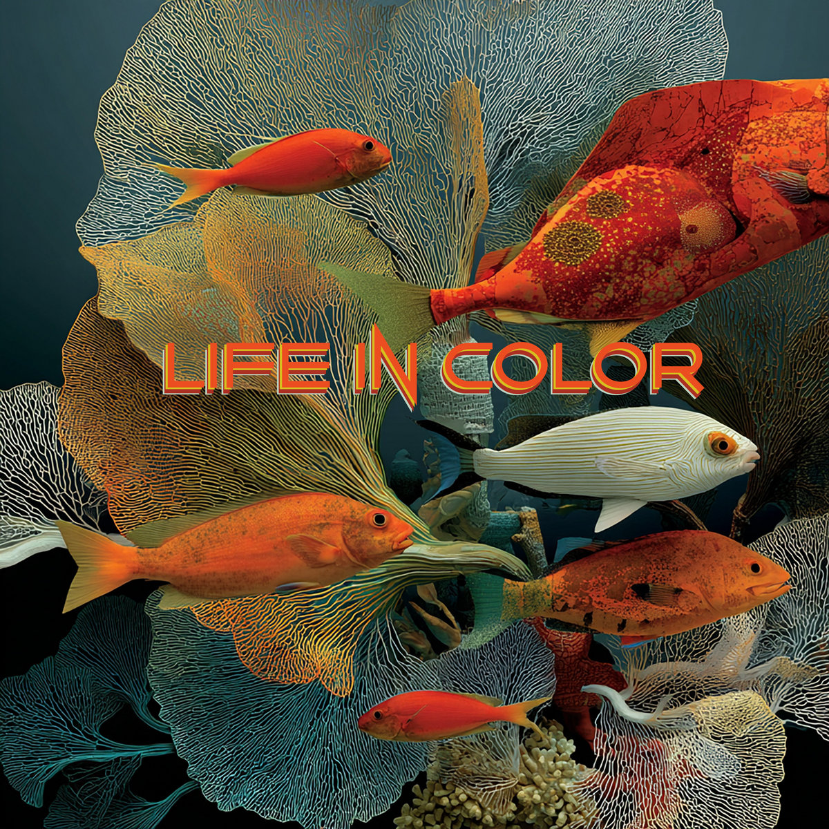 Life In Color | Kelly Boesch, image size:1200x1200