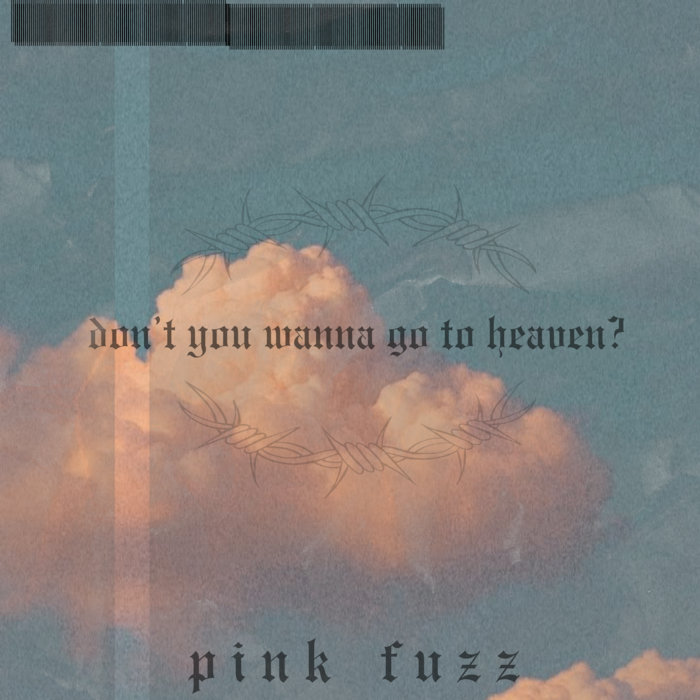Pochette de Don't You Wanna Go To Heaven? par Pink Fuzz