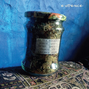 EvidenceAndersson/Løvdal/Hansen/Vang/Osgood cover