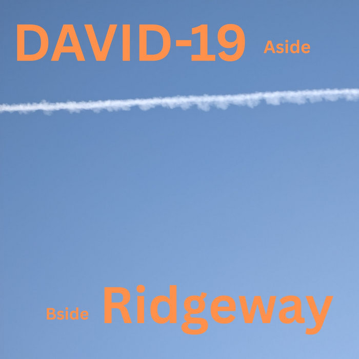 DAVID-19 and Ridgeway | DAVID-19