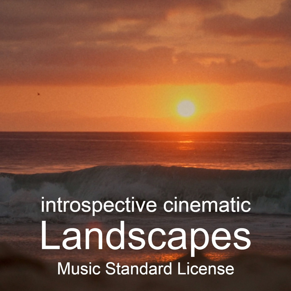 Landscapes - Music Standard License cover